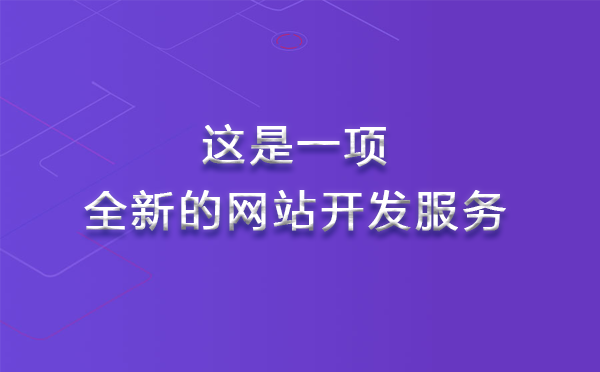 安菲云网站开发服务