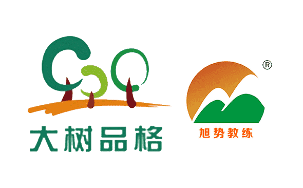 教育类品牌展示型官网开发-重庆软件开发