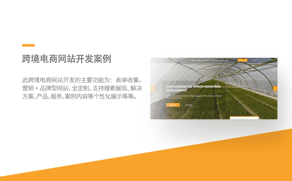 跨境电商网站定制开发案例-重庆软件定制